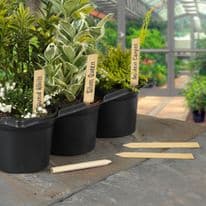 Ambassador Bamboo Plant Labels & Pencil 10 Piece - 4"