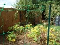Apollo Netting Stakes - 1m