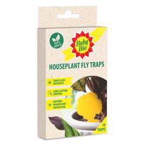 Baby Bio Houseplant Fly Traps - Pack 10