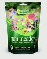 Empathy Mini Meadow Flower Seed With Rootgrow - 10m2
