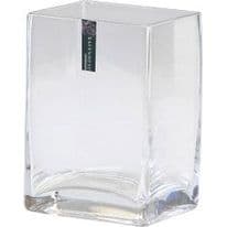 Ravenhead Clear Tank Vase - 14cm - Glass