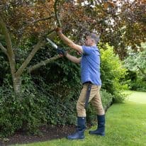 Wilkinson Sword Pruning Saw & Holster