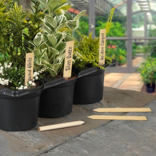 Ambassador Bamboo Plant Labels & Pencil 10 Piece - 6"