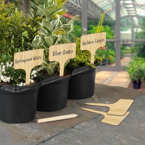 Ambassador Bamboo T Labels & Pencil 10 Piece - 4"