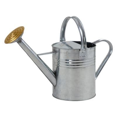 Ambassador Galvanised Watering Can - 1 Gallon