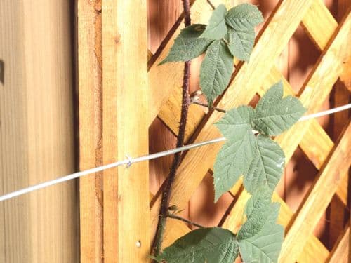 Ambassador Galvanised Wire - 1.6mm x 15m