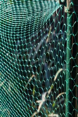 Ambassador Garden Net Green - 15mm x 3 x 2m