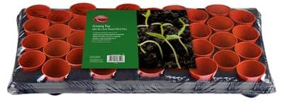 Ambassador Growing Tray - 18 x 9cm Round Pots
