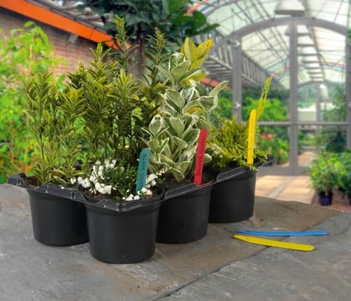 Ambassador Plant Labels - 4" Pack 50