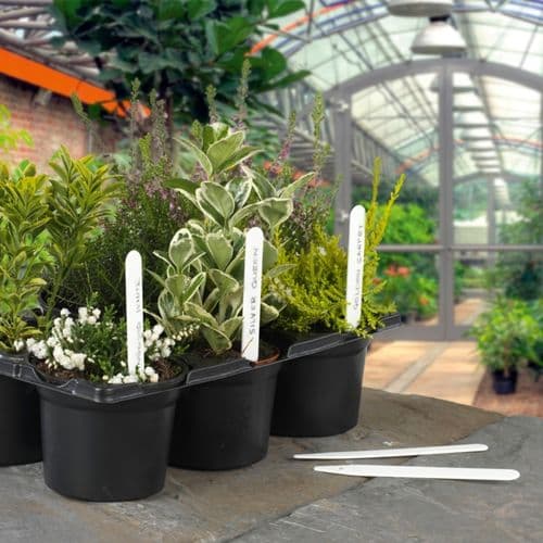 Ambassador Plant Labels - Pack 100 5" (10cm)