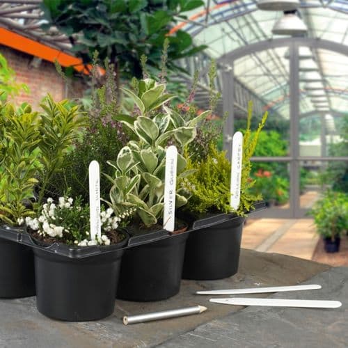 Ambassador Plant Labels - Pack 50 5"