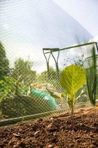 Ambassador Plant Shading - 10m x 660mm