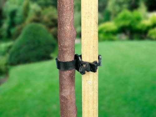 Ambassador Soft Shrub Ties - 13.75" Pack 2