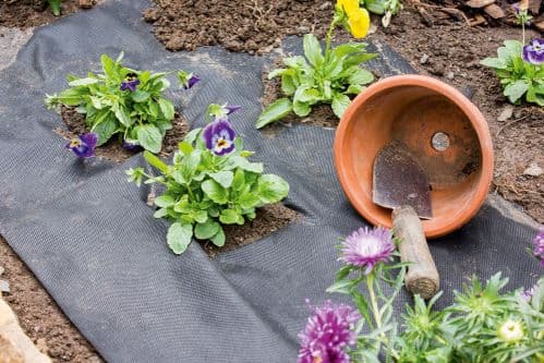 Ambassador Weed Control Fabric - 100m x 1.5m 70 g/m2