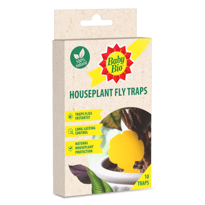 Baby Bio Houseplant Fly Traps - Pack 10