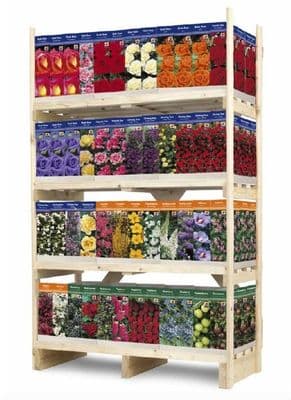 De Ree UK Roses and Shrubs - Assorted