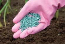Fertilisers