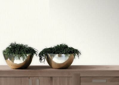 Grandeco Regency Plain Cream BOB-14-01-4