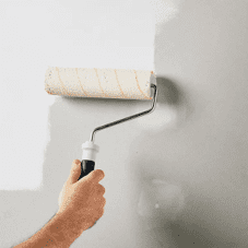 Primer & Undercoat Paint