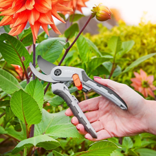 Pruning & Cutting Tools