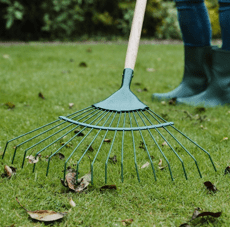 Rakes & Clearing Tools