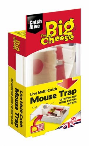 The Big Cheese  Multi Catch Mouse Trap STV 162