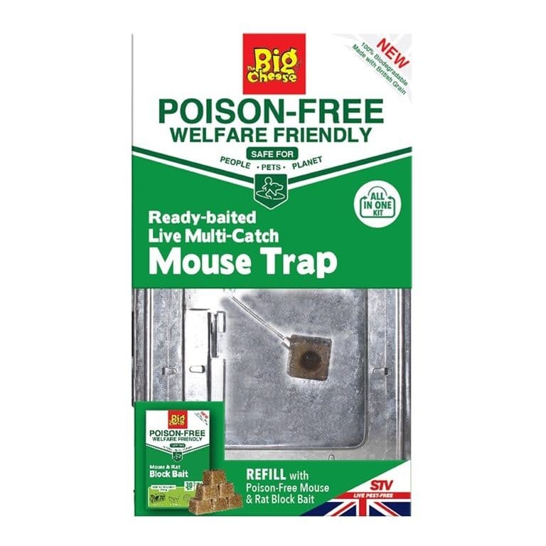 The Big Cheese Multi-Catch Live Mouse Trap