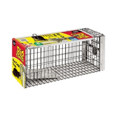 The Big Cheese Small Rat Cage STV 075