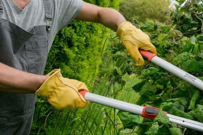 Town & Country Deluxe Leather Gloves - Large