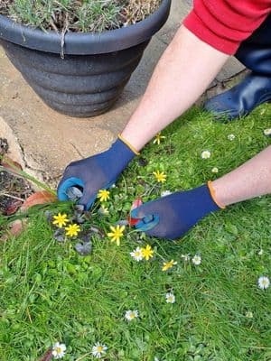 Town & Country Eco Flex Finesse Navy Gloves - Extra Small