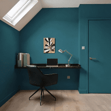 Wall & Ceiling Paint