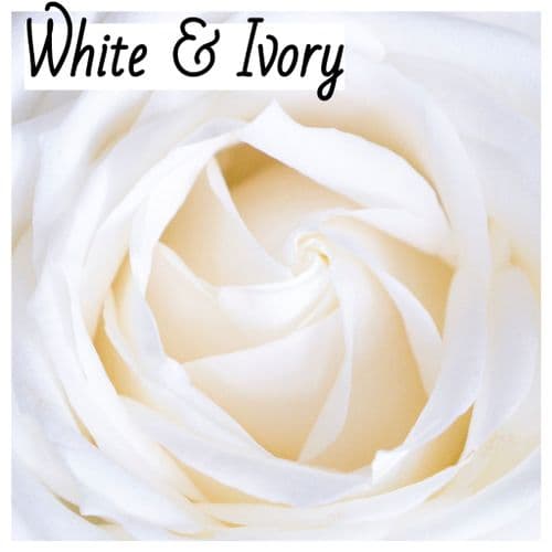 White & Ivory