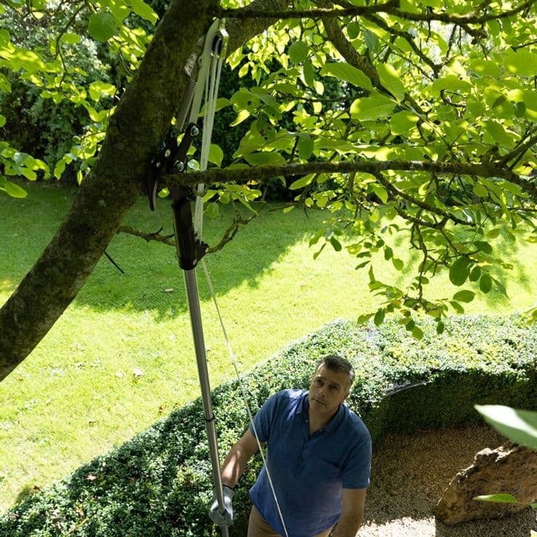 Wilkinson sword deals telescopic tree pruner