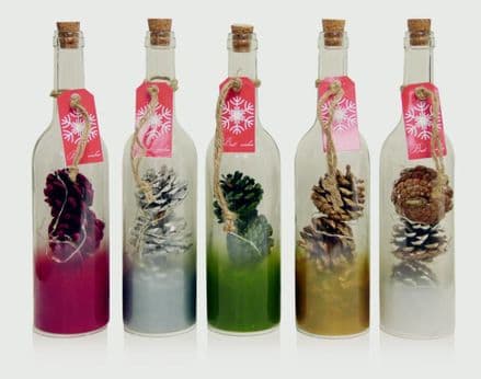 Premier Glass Bottles & Pine Cones - Assorted Designs