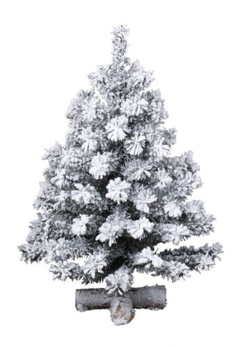 Kaemingk Snowy Toronto Mini Tree - 75cm