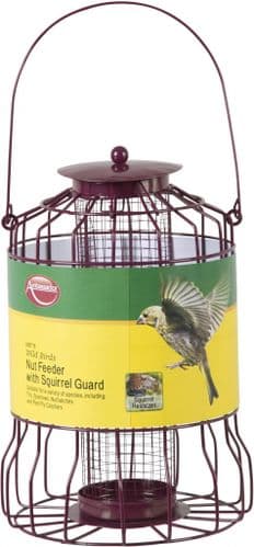 Ambassador Wild Birds Nut Feeder - With Squirrel Guard